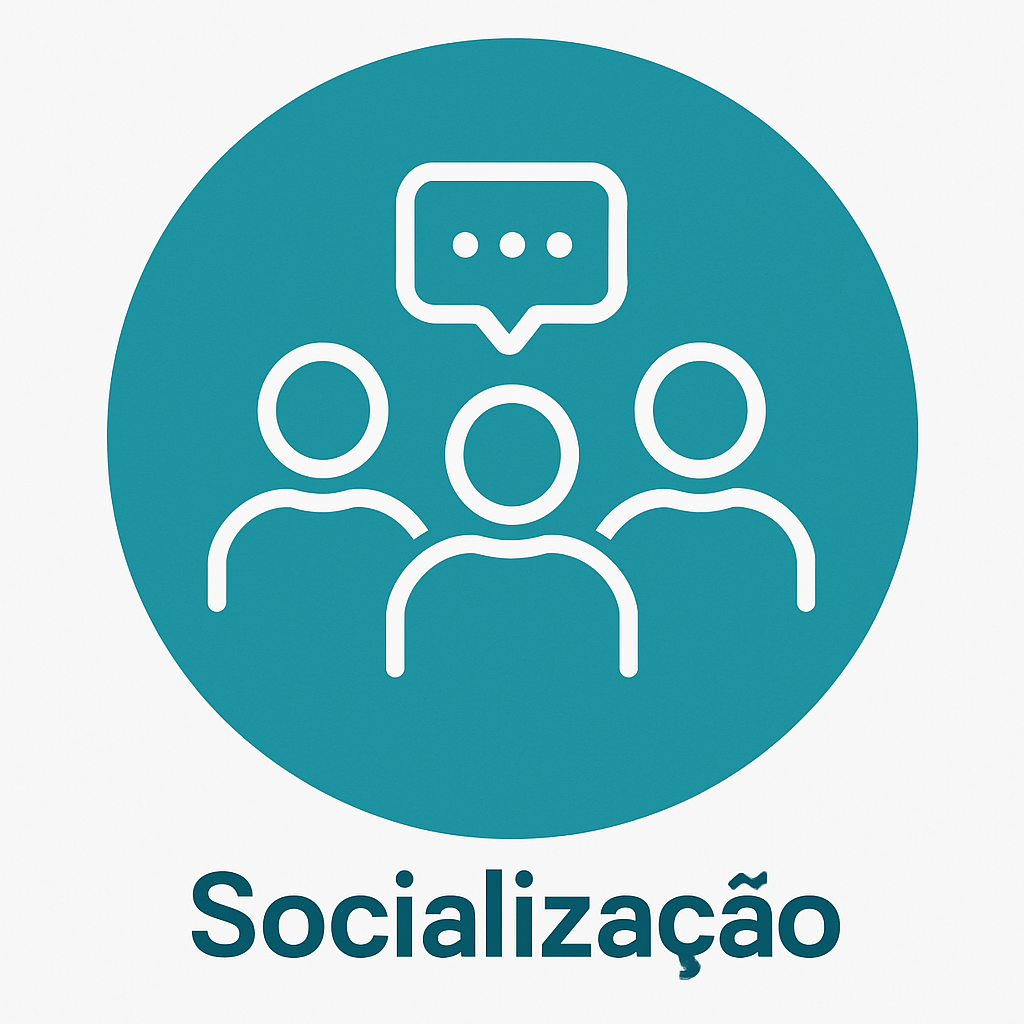 Socialização
